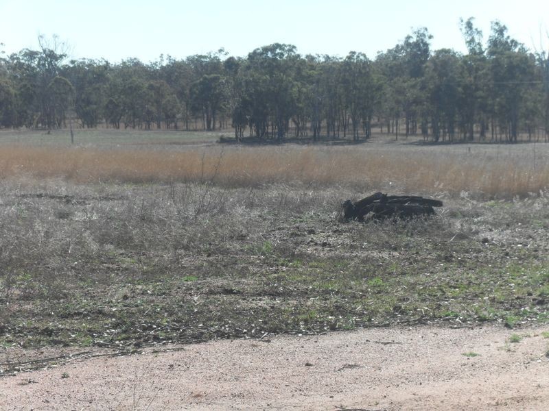 Warwick QLD 4370