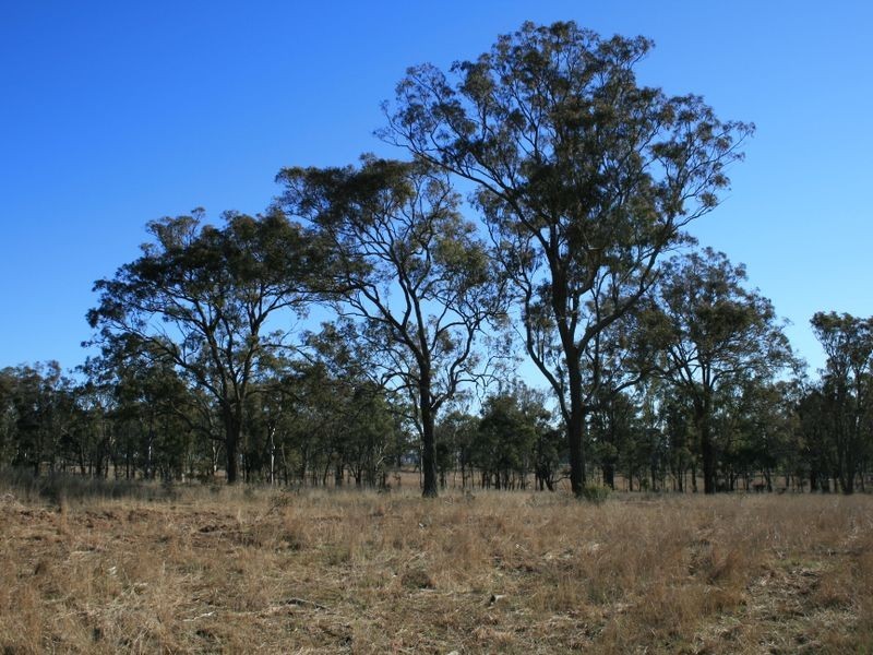 L13 Wildash School Road, Warwick QLD 4370