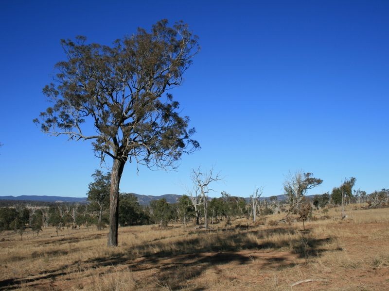 L13 Wildash School Road, Warwick QLD 4370