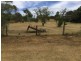 62 Warner Street,, Warwick QLD 4370
