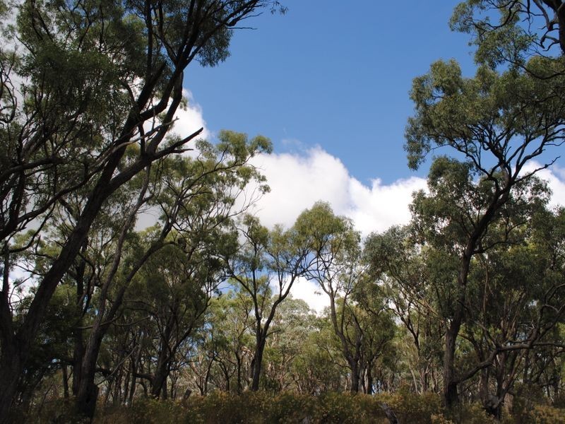 Lot 4 New England Highway, Warwick QLD 4370