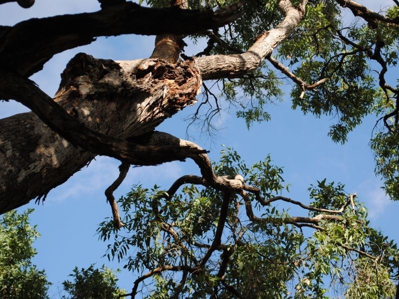 Lot 4 New England Highway, Warwick QLD 4370