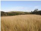 Lot 4 New England Highway, Warwick QLD 4370