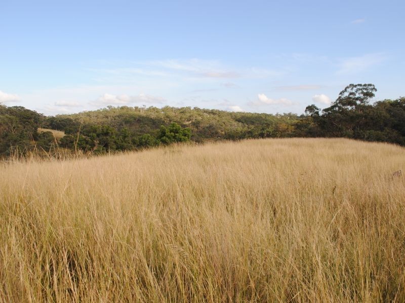 Lot 4 New England Highway, Warwick QLD 4370