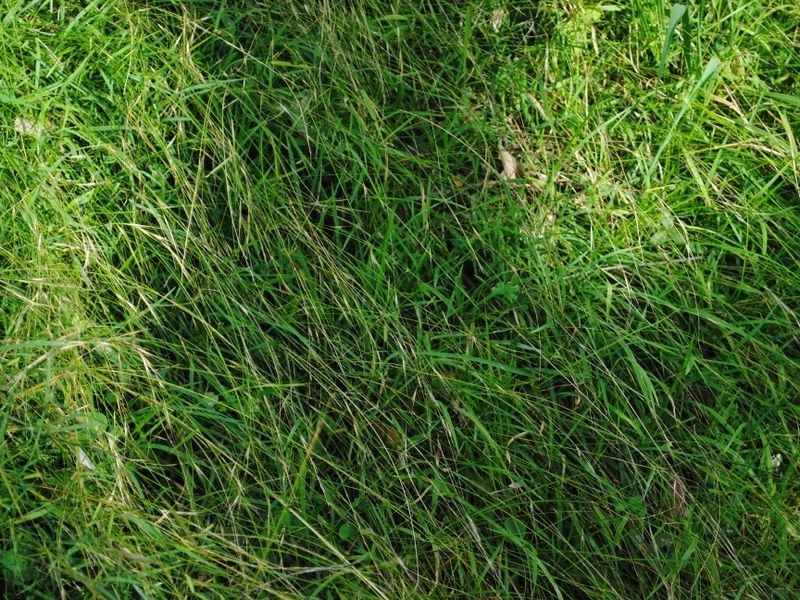 Lot 4 New England Highway, Warwick QLD 4370