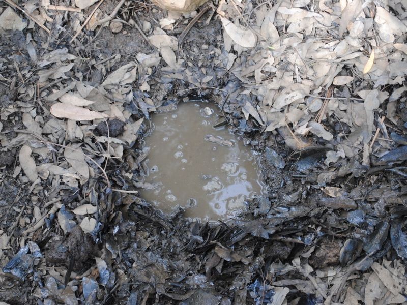 Lot 4 New England Highway, Warwick QLD 4370