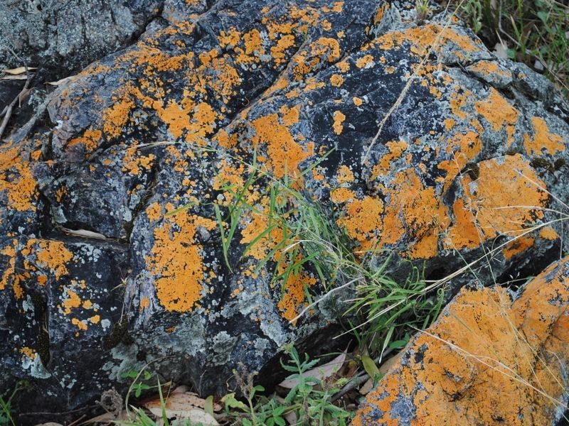 Lot 4 New England Highway, Warwick QLD 4370