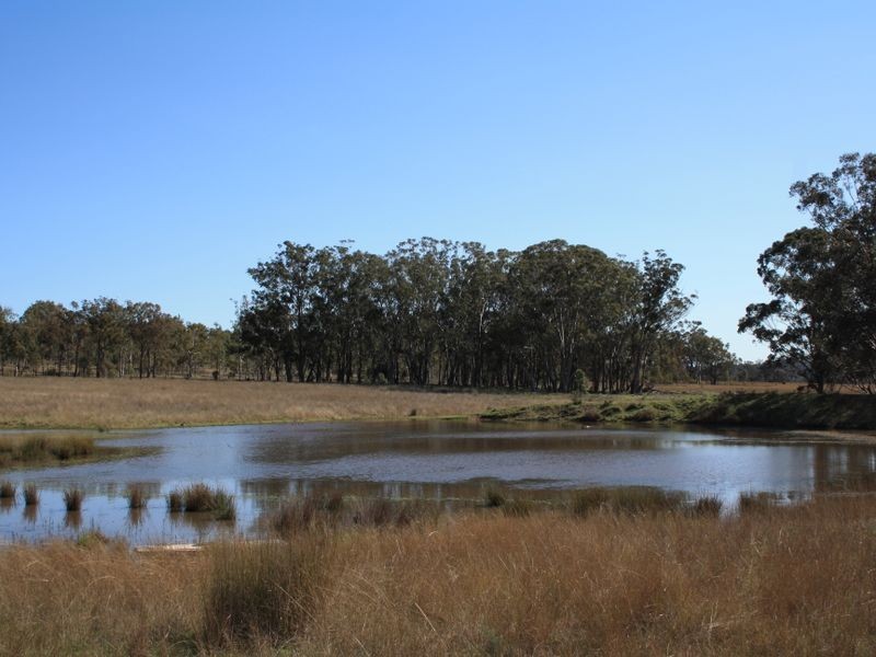 Warwick QLD 4370