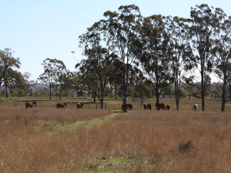Warwick QLD 4370