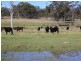 Warwick QLD 4370