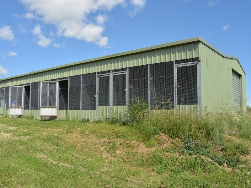 1420 Freestone Road, Freestone QLD 4370