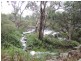 528 Cannon Creek Road, Cannon Creek QLD 4380