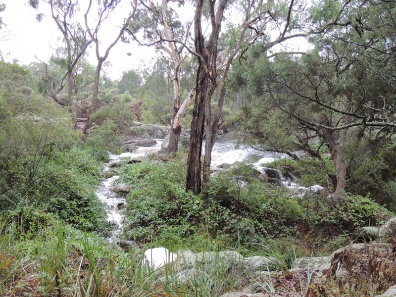 528 Cannon Creek Road, Cannon Creek QLD 4380