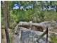 528 Cannon Creek Road, Cannon Creek QLD 4380