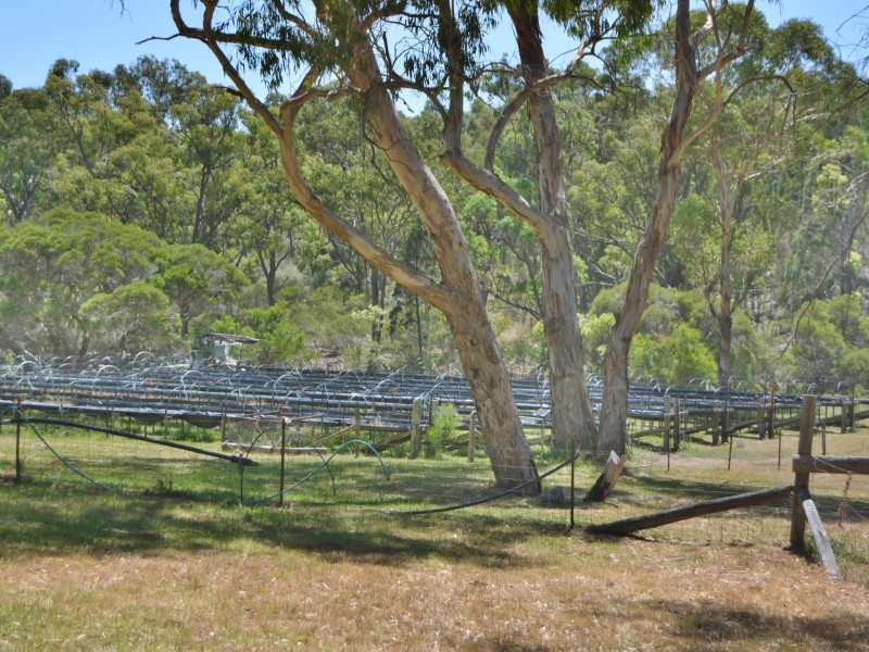 528 Cannon Creek Road, Cannon Creek QLD 4380