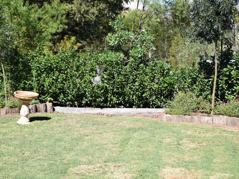 12 Marshall Street, Warwick QLD 4370