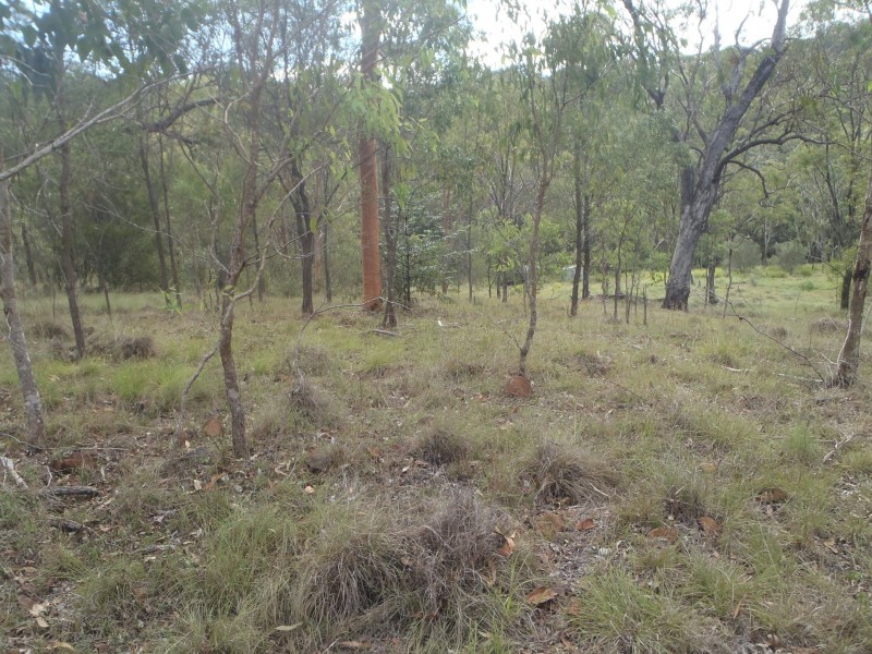 10473 Mt Lindsay Road, Koreelah NSW 2476