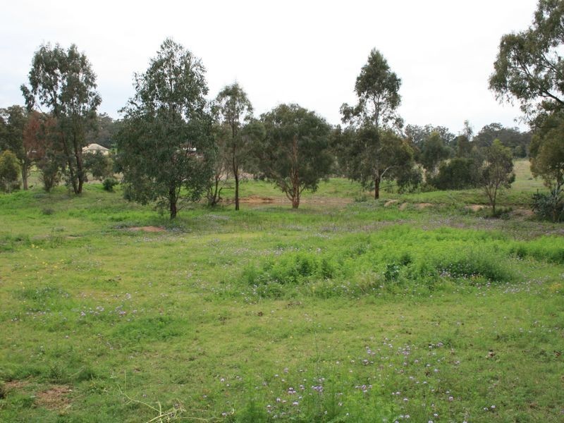 80 Schoch Road, Warwick QLD 4370