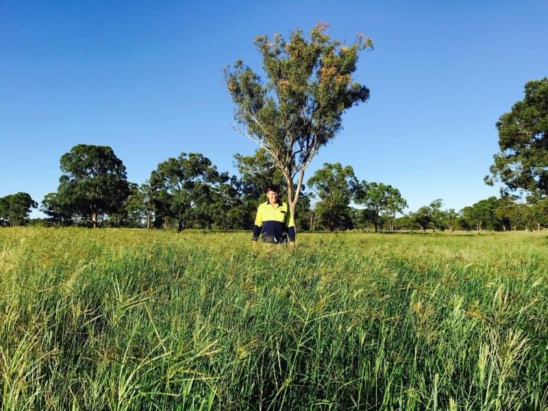 Lot 11 Montrose Lane, Greymare QLD 4370