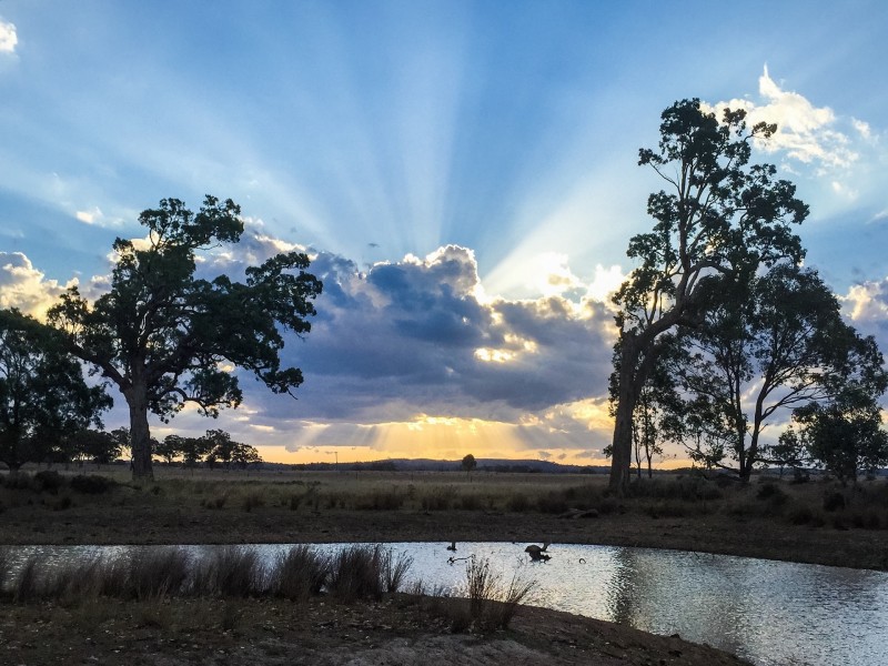 Lot 11 Montrose Lane, Greymare QLD 4370