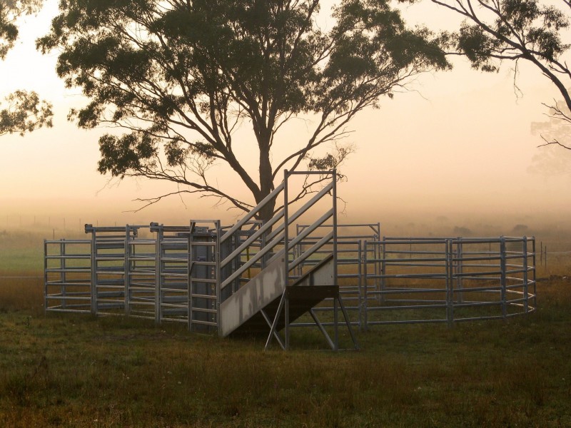 Lot 11 Montrose Lane, Greymare QLD 4370