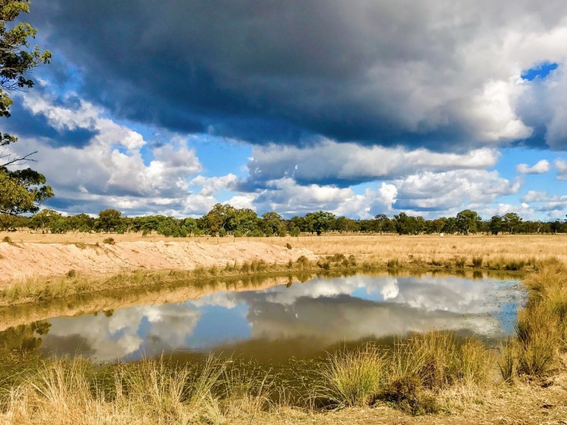 Lot 11 Montrose Lane, Greymare QLD 4370