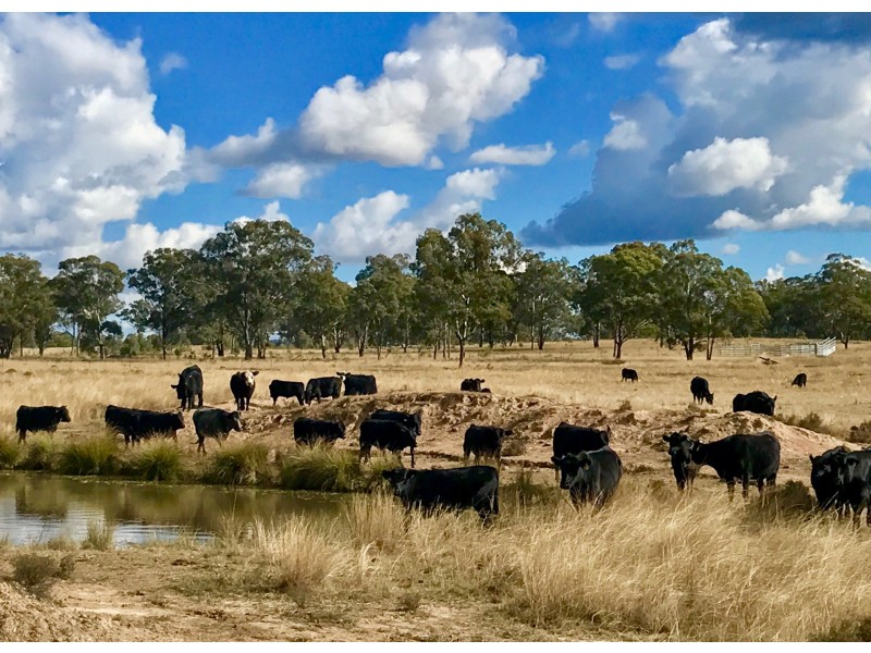 Lot 11 Montrose Lane, Greymare QLD 4370
