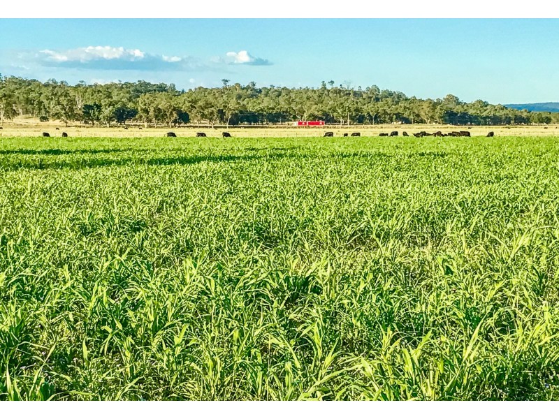 Lot 11 Montrose Lane, Greymare QLD 4370