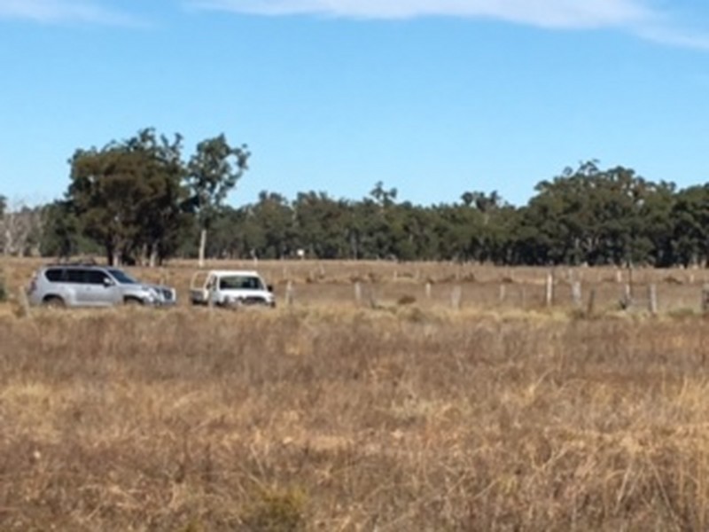 1467 Wickham Road, Thanes Creek QLD 4370