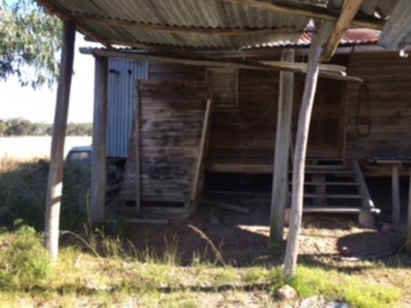 1467 Wickham Road, Thanes Creek QLD 4370