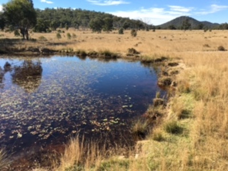 1467 Wickham Road, Thanes Creek QLD 4370