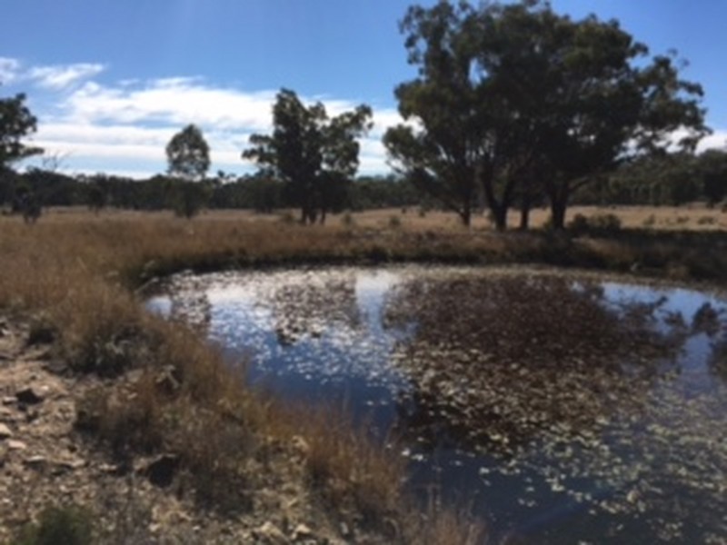 1467 Wickham Road, Thanes Creek QLD 4370