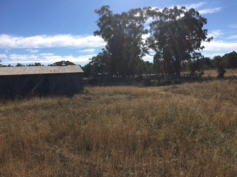 1467 Wickham Road, Thanes Creek QLD 4370