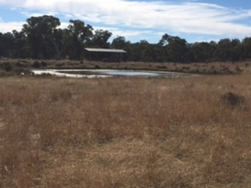 1467 Wickham Road, Thanes Creek QLD 4370