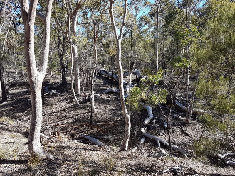 Lot 136 Big Hill Road, Warwick QLD 4370