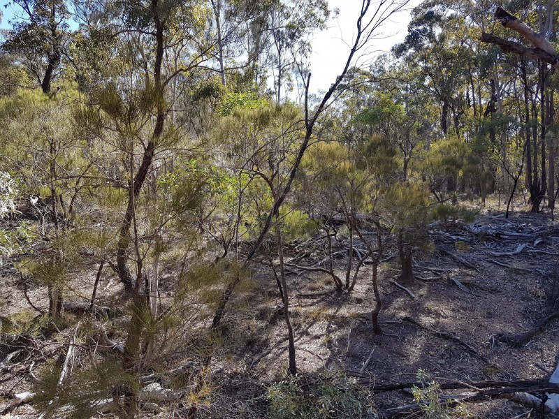 Lot 136 Big Hill Road, Warwick QLD 4370