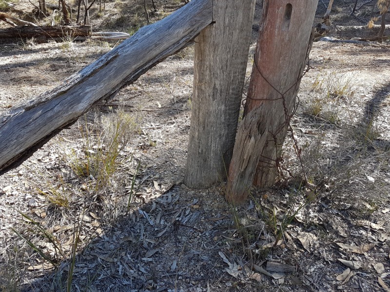 Lot 136 Big Hill Road, Warwick QLD 4370