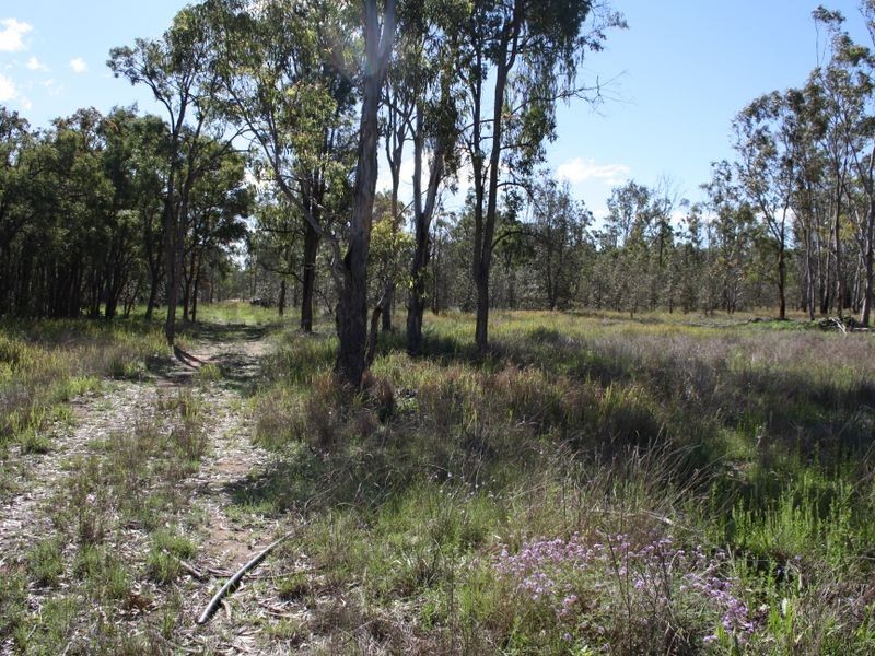 Lot 4 Hendon Deuchar Road Deuchar, Warwick QLD 4370