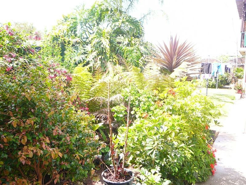 Warwick QLD 4370