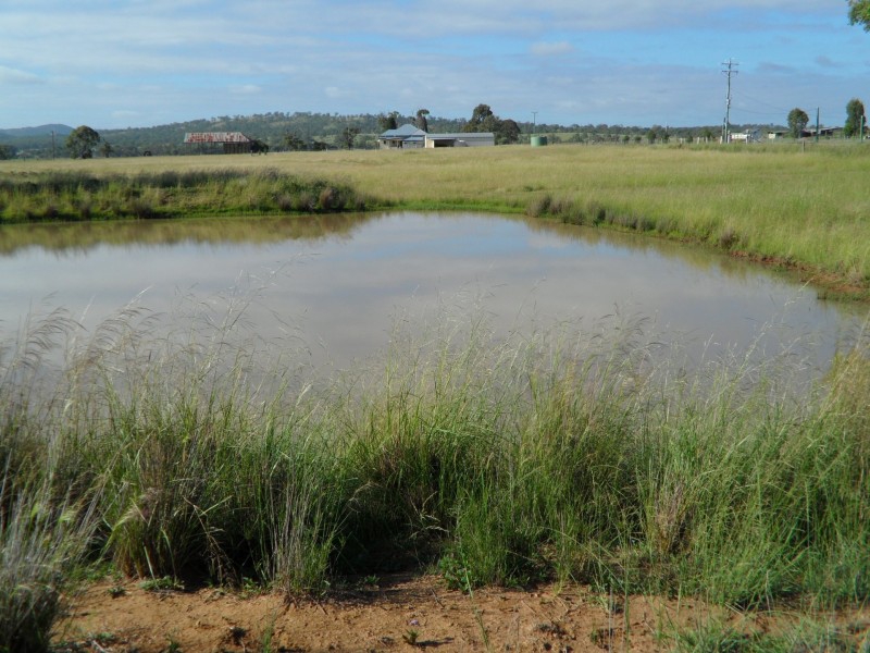 270 Black Soil Lane, Warwick QLD 4370