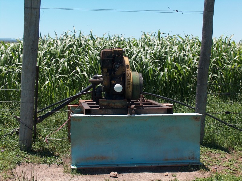 270 Black Soil Lane, Warwick QLD 4370