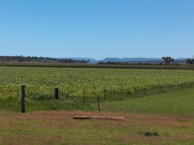 270 Black Soil Lane, Warwick QLD 4370