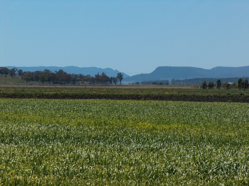 270 Black Soil Lane, Warwick QLD 4370