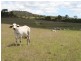 Lot 1 Cunningham Highway, Maryvale QLD 4370