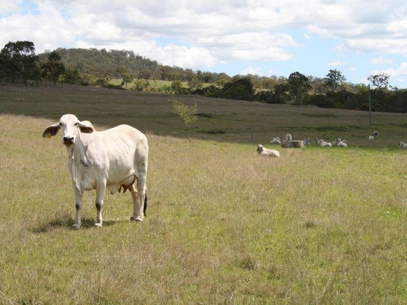 Lot 1 Cunningham Highway, Maryvale QLD 4370