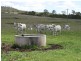Lot 1 Cunningham Highway, Maryvale QLD 4370
