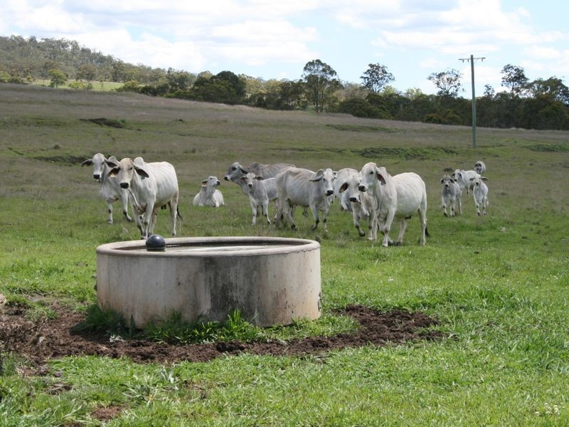 Lot 1 Cunningham Highway, Maryvale QLD 4370