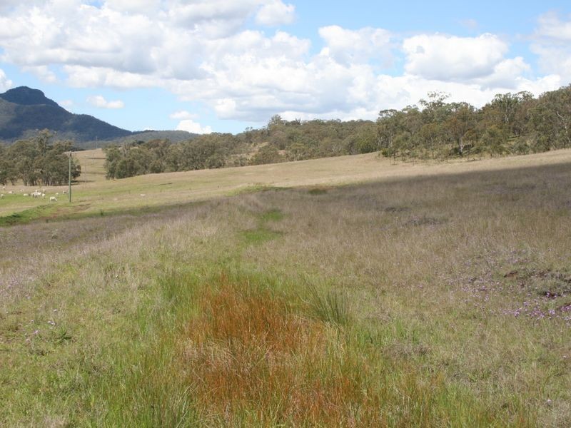 Lot 1 Cunningham Highway, Maryvale QLD 4370