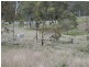Lot 1 Cunningham Highway, Maryvale QLD 4370