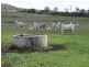 Lot 1 Cunningham Highway, Maryvale QLD 4370